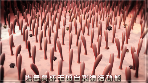 65fba6424c255